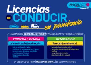 reservar hora licencia de conducir macul|Renovar licencia de conducir en Macul